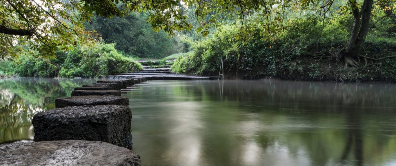 Coaching for high achieving women struggling with burnout, imposter syndrome, low confidence and lack of self esteem A closes up photograph of a fern fron ready to unfurl. It has drops of dew on it.