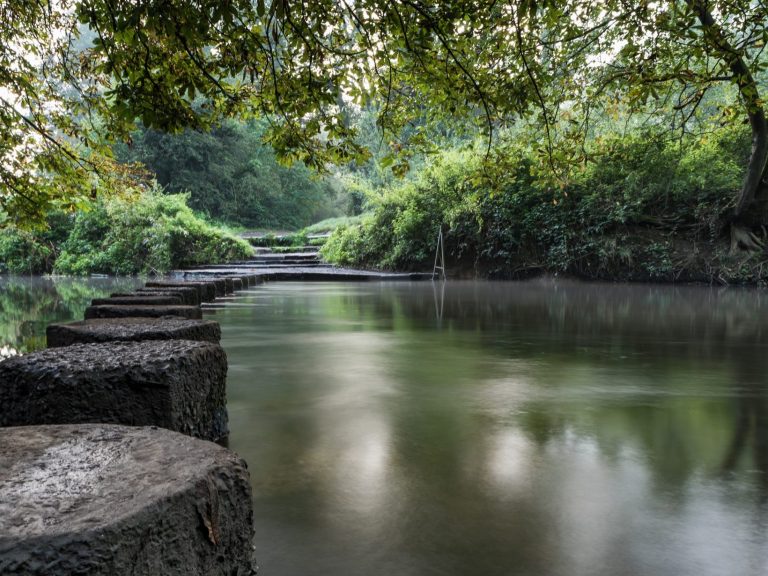 Cognitive Analytic Therapy Coaching for women with female psychologists. `stepping stones over a river.
