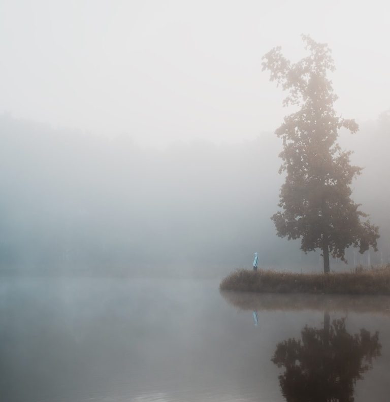 Photograph of a cloudy and misty scene. A lake that is pale blue grey fading into a sky of the same colour. A woman wearing a light blue jacket stands on the edge of a small piece of land jutting into the lake. She is next to a tall tall tree. She looks reflective, small and held by the tree .