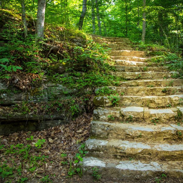 Photograph of old stone steps in the woods lead up to trees above. The steps are white with a gentle curve to the left.
