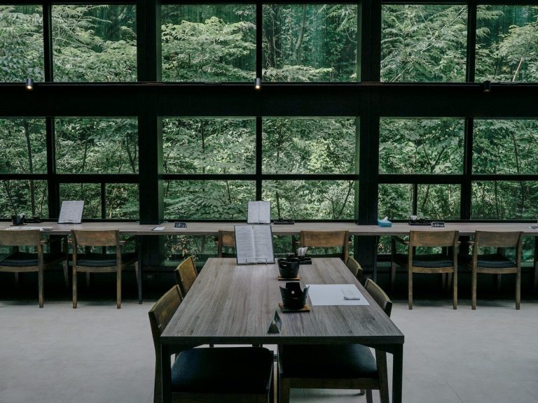 Corporate Talks about women's issues at work with female psychologists. A table and chairs in a beautiful woodland setting with large windows.